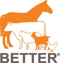 Better Traders Logo